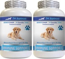 Immununterstützung Vitamine - Hunde Immununterstützung - Burdock Root Extract Organic - Burdock Root für Hunde - Immun Hundepillen, Immununterstützung für Hunde probiotisch, Immununterstützung Ergänzung 2 Bot (120 Chews