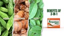 Ampalaya Plus 550mg 90 Capsules - Pack of 1 - with Banaba, Turmeric Ginger and Bitter Melon by Ampalaya Plus - Halal Herbal Suplements