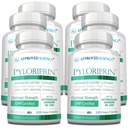 Pyloriprine scientifique approuvée - Soutien digestif avancé pour un stomach sain - Zinc L-Carnosine, Probiotique, Broccoli Sprout, L'alcool déglycyrrhisé - 360 capsules - six mois d'approvisionnement - végétalien