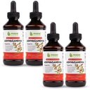 Maxx Kräuter Ashwagandha Extrakt – Max Strength Liquid Tincture absorbiert besser als Kapseln oder Pulver - für Stamina, Speicher und Immununterstützung – 4 Flaschen, 4 Oz Jeder (240 Servierungen)