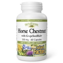 HerbalFactors by Natural Factors, Horse Chestnut, Antioxydant Support pour un système circulatoire sain et des veines avec GrapeSeedRich, 60 capsules (60 portions)