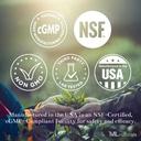 ML Naturals Mushrooms Complex 120 Gemüsekapseln. 6 Essential Mushrooms: Bio Reishi, Lion's Mane, Cordyceps, Healthy Immune Support, NSF-zertifiziert & cGMP-Compliant.