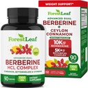 ForestLeaf Berberine Supplement - GLP-1 Inspirierte Formel - 1300mg pro Servieren - Ultra High Potency Berberine HCl mit Ceylon Cinnamon, Bitter Melon & Gymnema - Weight Management Support - 90 Caps