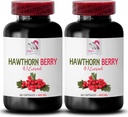 Hawthorn Beeren Antioxidans - HAWTHORN BERRIES EXTRACT - Hawthorn Beeren Extrakt Kapseln, Beerenextrakt Pulver, wilde Beerenenergie, Hawthorn Energie Pillen, Hawthorn Haar Conditioner 2 Bot 120 Kapseln