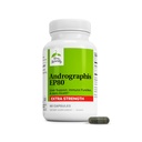 Terry Naturally Andrographis EP80 Extra Strength - Brain Health & Immune Support - Joint Health Supplement to Aid Mobility - Vegan Adaptogen Supplement for Energy & Liver Support - 60 Kapseln