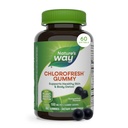 Nature De la façon Chlorofraîchissante Chlorophylle Gommies, soutient la peau saine et le détox corporel*, Déodorant interne*, Aromatisé de fruits de verger, 60 Gommies