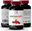 supplément d'extrait d'aubépine - HAWTHORN BERRIES EXTRACT - aubépine antioxydant de baies, capsules d'extrait de baies d'aubépine, poudre d'extrait de baies, énergie de baies sauvages, énergie d'aubépine 1 bouteille 60 capsules