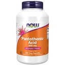 JETZT Nahrungsergänzungsmittel,Pantothensäure (Vitamin B-5) 500 mg,B-Komplexes Vitamin,250 Kapseln