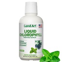 Land Art - Liquid Chlorophyll Mint – Extrait à froid de l'Alfalfa sauvage non OGM – Natural Clorofila Liquida – Antioxydant - Supplément de détox – Boost Energy – Alcalizing & Body Odor Neutralizer – 16 floz