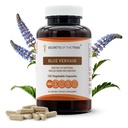 Secrets of the Tribe Blue Vervain 120 Kapseln, 1000 mg, Blue Vervain (Verbena Hastata) Getrocknete Kräuter (120 Kapseln)