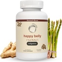 Säure- und Verdauungsrelief, Safe Antacid Alternative für Occasional Acid Reflux & Heartburn, Ginger, Curcumin, Spearmint & More – Phd Doctor-Formuliert & Clincially-Studied - 30 Portionen