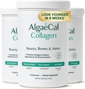 Collagène ALGAECAL - 4 Peptides supportés cliniquement VERISOL®, FORTIGEL®, UC-II®, FORTIBONE®, Poudre de collagène hydrolysée anti-âge, 3 emballages, Fabriqué aux États-Unis