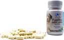 PurePets Neuseeland Green Lipped Mussel Kapseln für Hunde und Katzen - 200mg x 120 Kapseln - für Hip & Joint Support - 100% Natural Arthritis Schmerzlinderung - Mobility Supplement Entzündungsmanagement