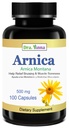 Arnica Montana Kapseln 500mg 100 Kapseln