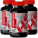 Body Builder for Men - CREATINE Powder 100G - Creatine Bulk - 3 bouteilles (poudre)