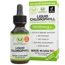 Gouttes liquides de chlorophylle - Détox et immunosupport, Désodorisant interne et supplément pour la santé de la peau, non OGM, approvisionnement de 4 mois, saveur de menthe naturelle
