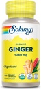 SOLARAY Organic Ginger 1080 mg - Organic Ginger Supplements - Relieves Nausea and Vomiting Associated with Motion Sickness, Supports Joint Health - Vegan, Non Drowsy, 60-Day Guarantee, 50 Servings