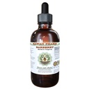 Barberry Alcohol-FREE Flüssiger Extrakt, Bio-Barbeere (Berberis Vulgaris) getrocknet Root Bark Glycerite 2 oz