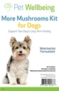 Pet Wellbeing Mehr Pilz-Kit für Hunde - Immunsystem Unterstützung und Antioxidantien Schutz - Vet-Formuliert mit Turkey Tail, Reishi, Maitake, Astragalus