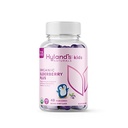 Hyland's Kids Organic Elderberry Plus Gummis, Bio Black Elderberry mit ZINC und Vitamin C, Immununterstützung für Kinder, 48 Vegan Gummis
